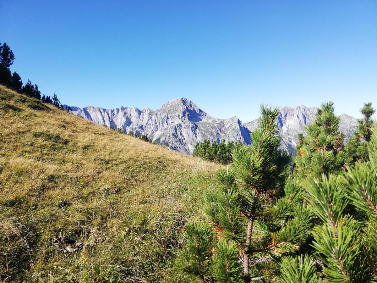 Ferienhaus Sonnberg Hüttau Zewnętrze zdjęcie